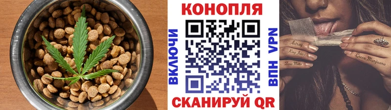 Canna-Cookies марихуана  где можно купить   Камышлов 