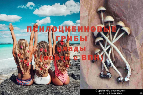 каннабис Бронницы